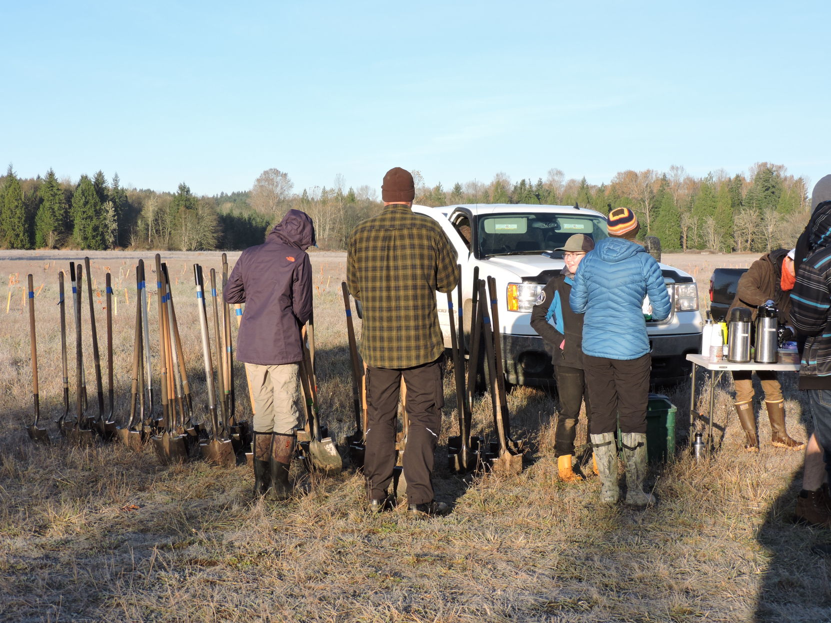 2 Thicket of shovels.JPG